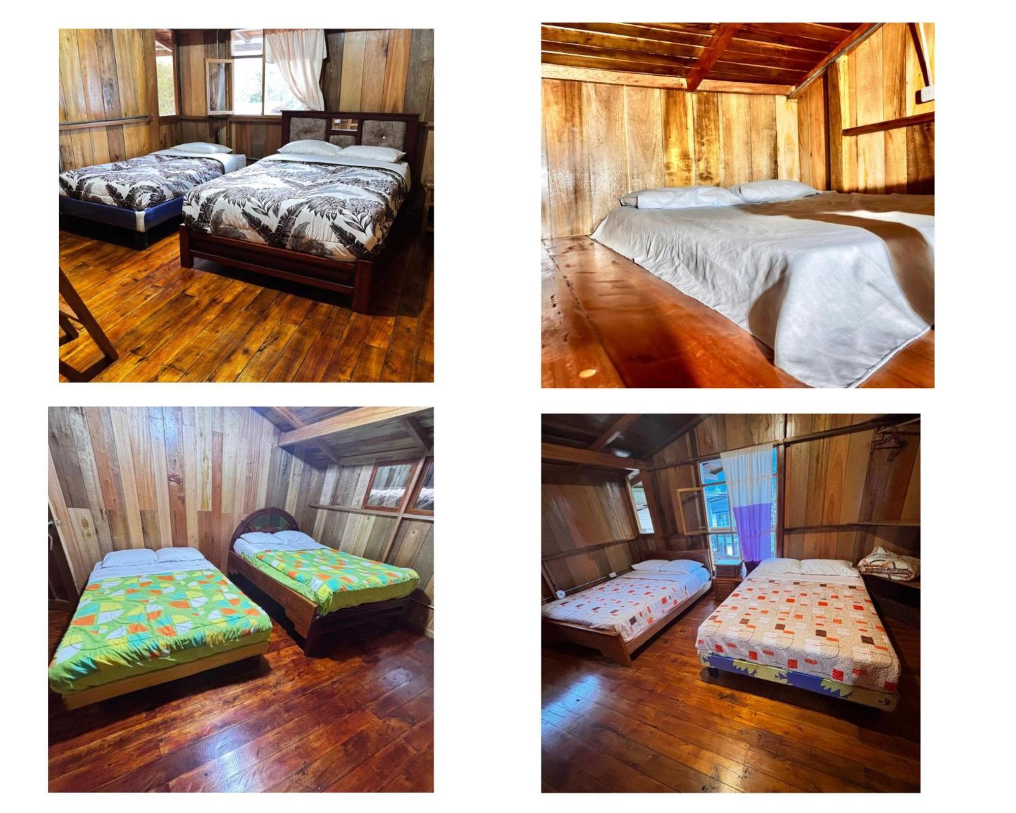 Hostal Vista Verde Mindo Kültér fotó